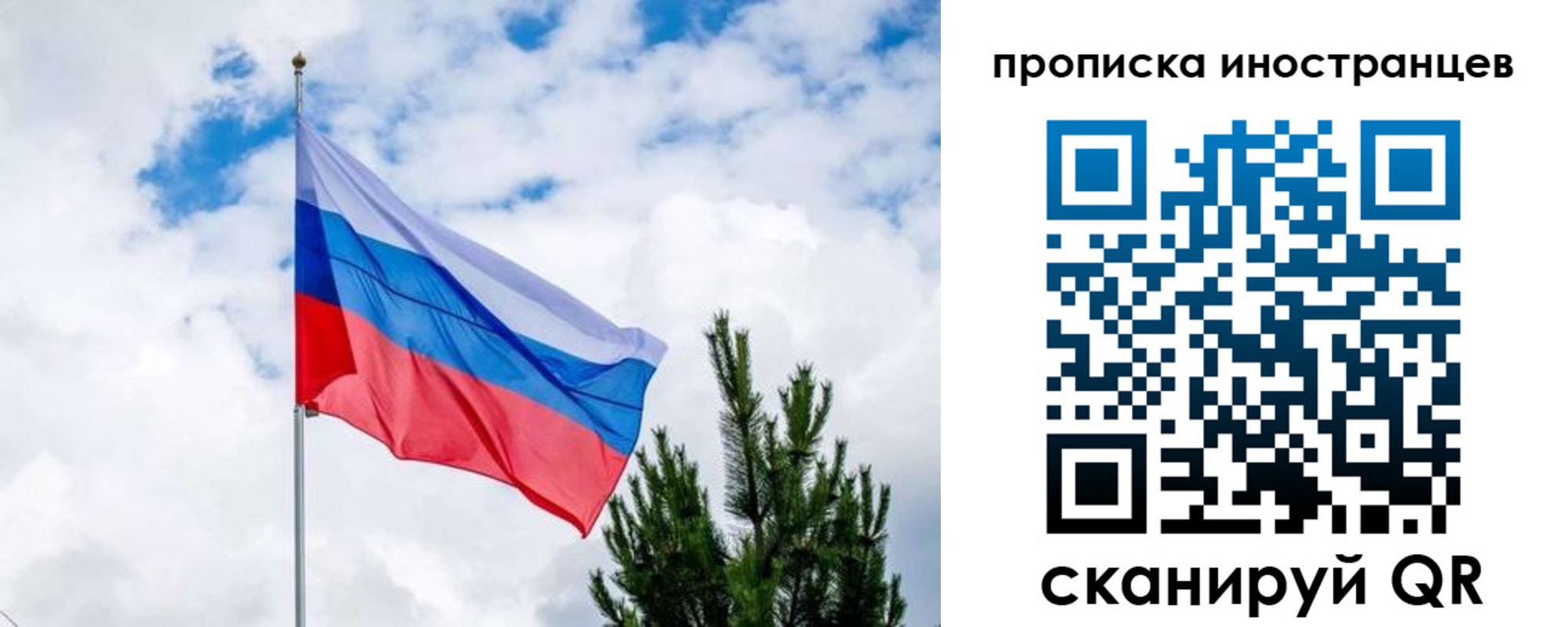 временная прописка в Химках